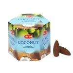 Coconut Backflow Cones-40 BF Cones